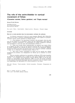 The role of the swim-bladder In vertical movement of fishes