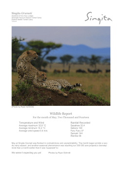 Singita Grumeti Wildlife Report