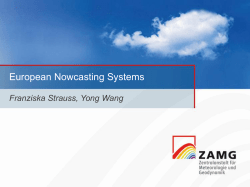 European Nowcasting Systems