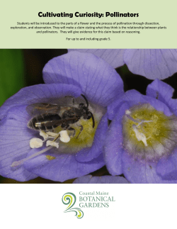 Pollinators - Coastal Maine Botanical Gardens