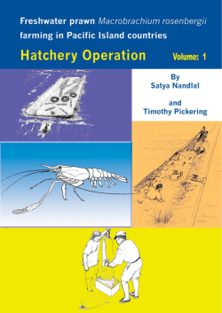 Freshwater prawn Macrobrachium rosenbergii farming in