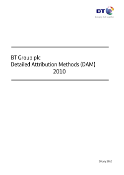 BT Group plc Detailed Attribution Methods (DAM) 2010