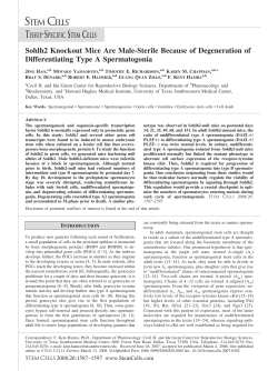 Sohlh2 Knockout Mice Are Male-Sterile Because