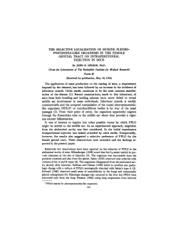 the selective localization of murine pleuro- pneumonia