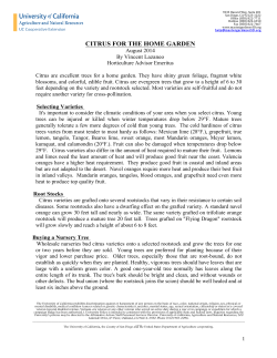 citrus for the home garden - San Diego Master Gardeners