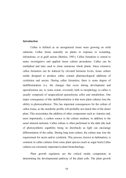 Introduction Callus is defined as an unorganized tissue mass
