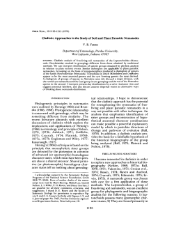 Cladistic Approaches in the Study of Soil and Plant Parasitic