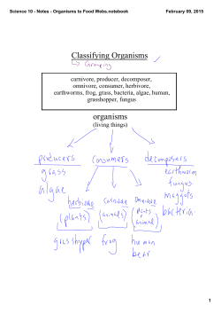 Science 10 - Notes - Organisms to Food Webs.notebook