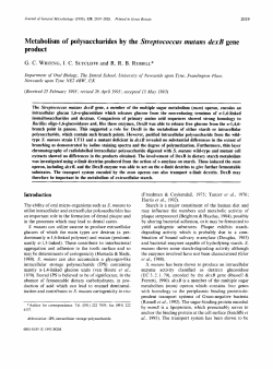 Metabolism of polysaccharides by the Streptococcus