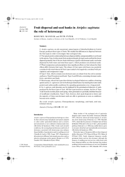 Fruit dispersal and seed banks in Atriplex sagittata: the role of