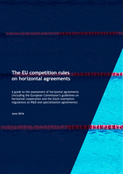 The EU competition rules on horizontal agreements