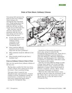 Point of View Sheet: Ordinary Citizens