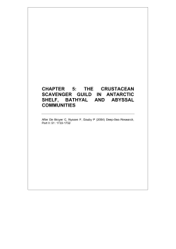 THE CRUSTACEAN SCAVENGER GUILD IN ANTARCTIC SHELF