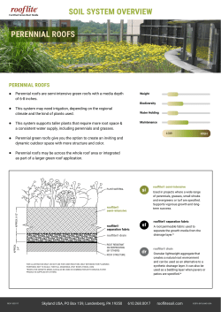 SOIL SYSTEM OVERVIEW PERENNIAL ROOFS