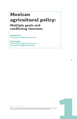 Mexican agricultural policy