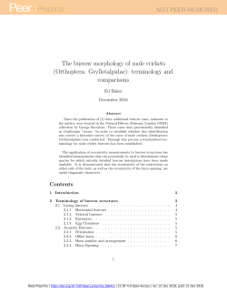 The burrow morphology of mole crickets (Orthoptera