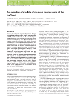 An overview of models of stomatal conductance at the leaf level