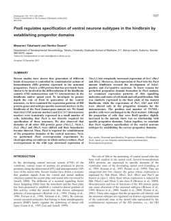 Pax6 and the progenitor domains - Development