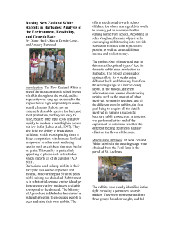 Raising New Zealand White Rabbits in Barbados: Analysis of the