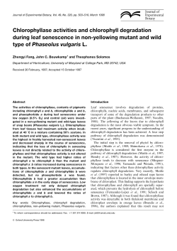 Chlorophyllase activities and chlorophyll