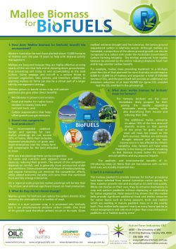 BioFUELS - Virgin Australia