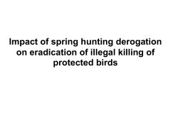 Impact of spring hunting derogation on eradication of illegal killing of