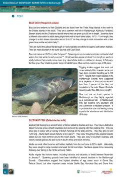 Important Species: Fish and Invertebrates