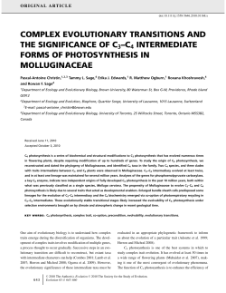 complex evolutionary transitions and the significance of c3c4
