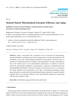 Skeletal Muscle Mitochondrial Energetic Efficiency and Aging