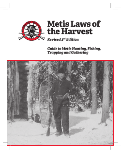 Metis Laws of the Harvest - Manitoba Metis Federation Inc.