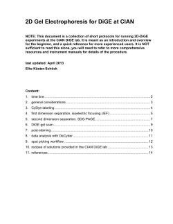 2D Gel Electrophoresis for DiGE at CIAN