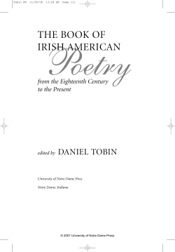 The book of Irish American poetry