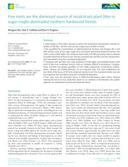 Fine roots are the dominant source of recalcitrant plant litter in sugar