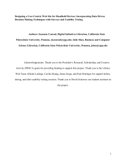 Designing a User-Centric Web Site for Handheld