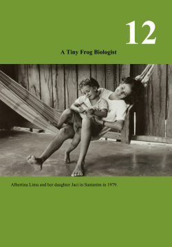 A Tiny Frog Biologist