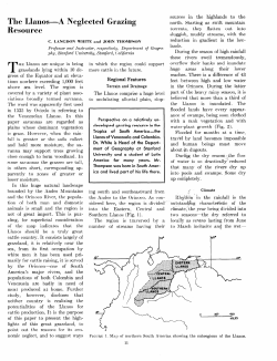 The Llanos-A Neglected Grazing Resource