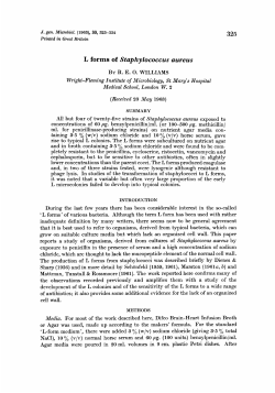 L forms of Staphylococcus aureus