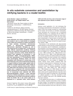 In situ substrate conversion and assimilation by nitrifying bacteria in