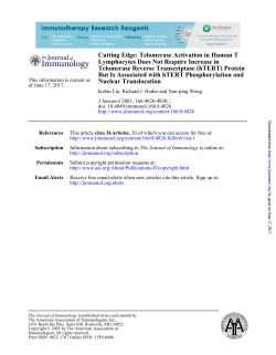 Nuclear Translocation But Is Associated with hTERT