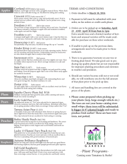 Apples Pears Peaches Plum ‑Plant Programs