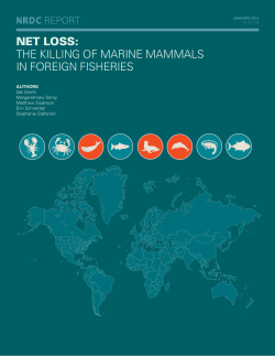 Net Loss - The Killing of Marine Mammals in Foreign Fisheries