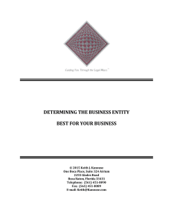 determining the business entity best for your business