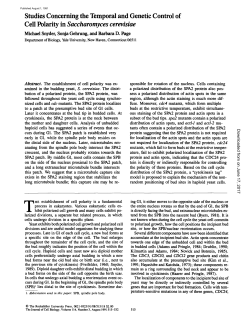 Studies Concerning the Temporal and Genetic Control of