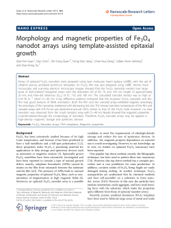 Morphology and magnetic properties of Fe3O4 nanodot arrays using