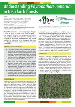 PHYTOFOR P. ramorum Fact Sheet