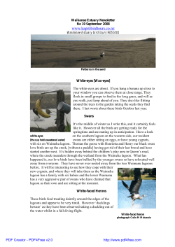 Sep 08 - Waikanae Estuary Bird Tours