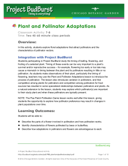Plant and Pollinator Adaptations