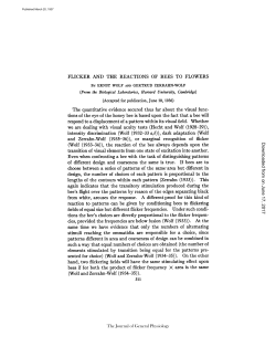 FLICKER AND THE REACTIONS OF BEES TO FLOWERS (From the