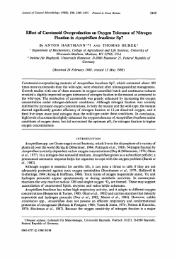 Effect of Carotenoid Overproduction on Oxygen