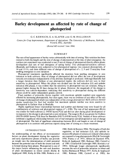 Barley development as affected by rate of change of photoperiod